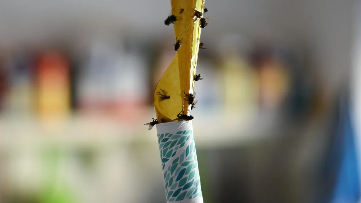 Piège à mouches maison efficace : 4 méthodes testées en conditions réelles